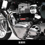 Kawasaki W800/W650 ACTIVE（アクティブ） パフォーマンスダンパー　13691701
