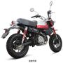 スペシャルパーツ武川　HONDA モンキー125　トラッカーマフラー　04-02-0398