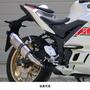 WR'S（ダブルアールズ） YZF-R3/MT-03 SS-OVALスリップオンマフラー（ソリッドチタン） SK2310JM