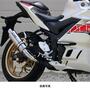 WR'S（ダブルアールズ） YZF-R3/MT-03 S.O.Vショートオーバルスリップオンマフラー（ソリッドチタン） NV2310JM