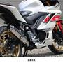 WR'S（ダブルアールズ） YZF-R3/MT-03 ラウンドタイプスリップオンマフラー（ステンレス） BF2310JM