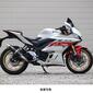 WR'S（ダブルアールズ） YZF-R3/MT-03 ラウンドタイプスリップオンマフラー（カーボン） BC2310JM