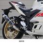 WR'S（ダブルアールズ） YZF-R3/MT-03 ラウンドタイプスリップオンマフラー（カーボン） BC2310JM