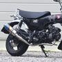 WR'S ダックス125('24-) ショートオーバルフルエキゾーストマフラー（焼き色チタン） LS1195JM