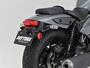 DAYTONA ELIMINATOR/SE FRPショートフェンダー 61798