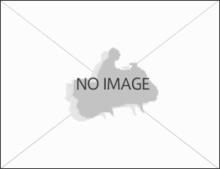 ドレスアップパーツ